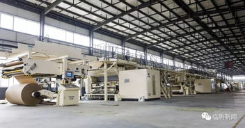 山東這家食品廠(chǎng)斥2.1億建的瓦楞紙板項(xiàng)目一期已投產(chǎn)